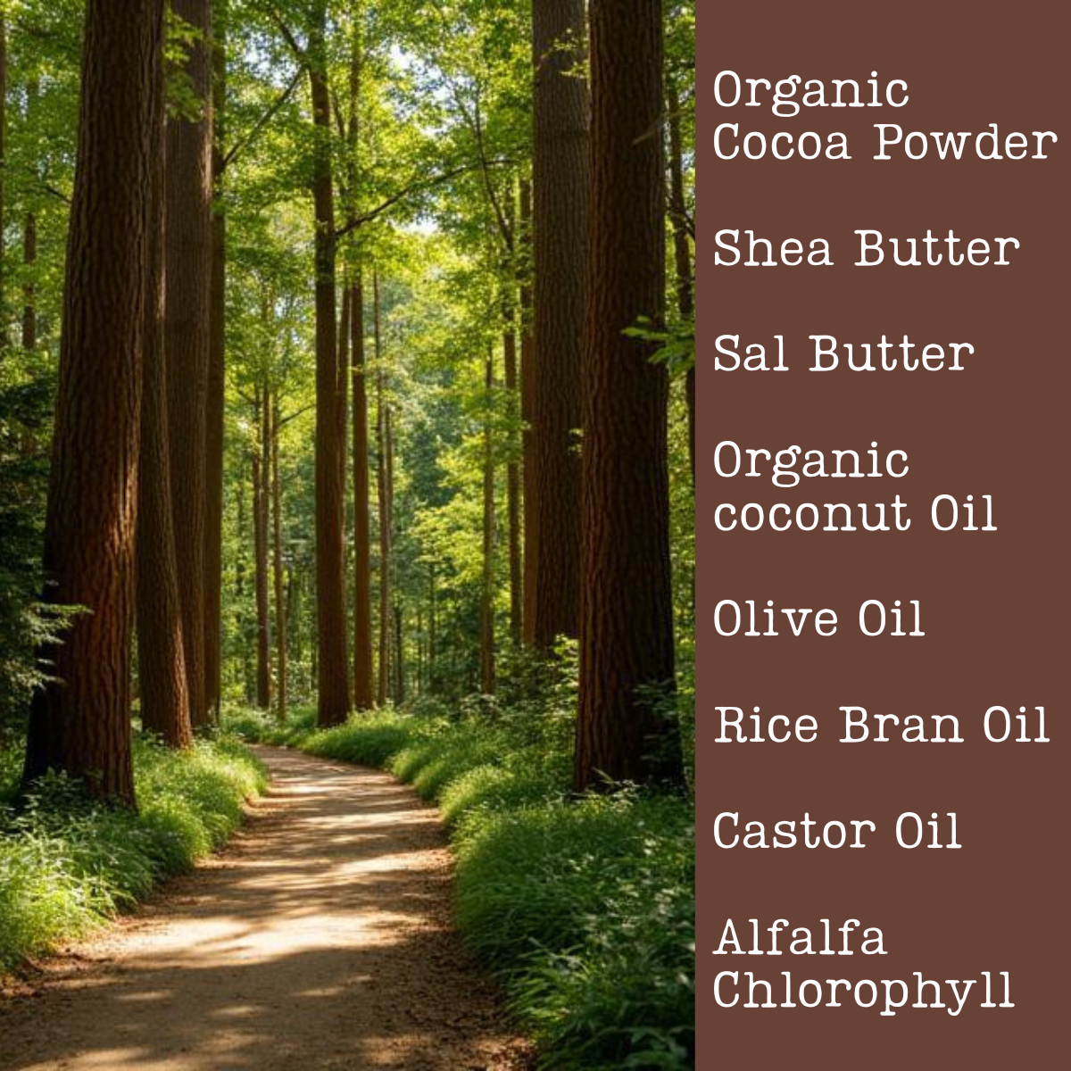 Pathway through a forest with a list of natural soap ingredients on the right side.