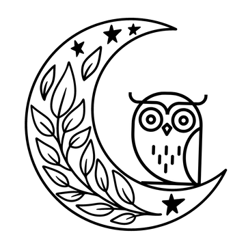 Night Owl Soapery logo favicon