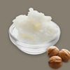 White creamy shea butter in a clear glass bowl with three shea nuts on a gray background