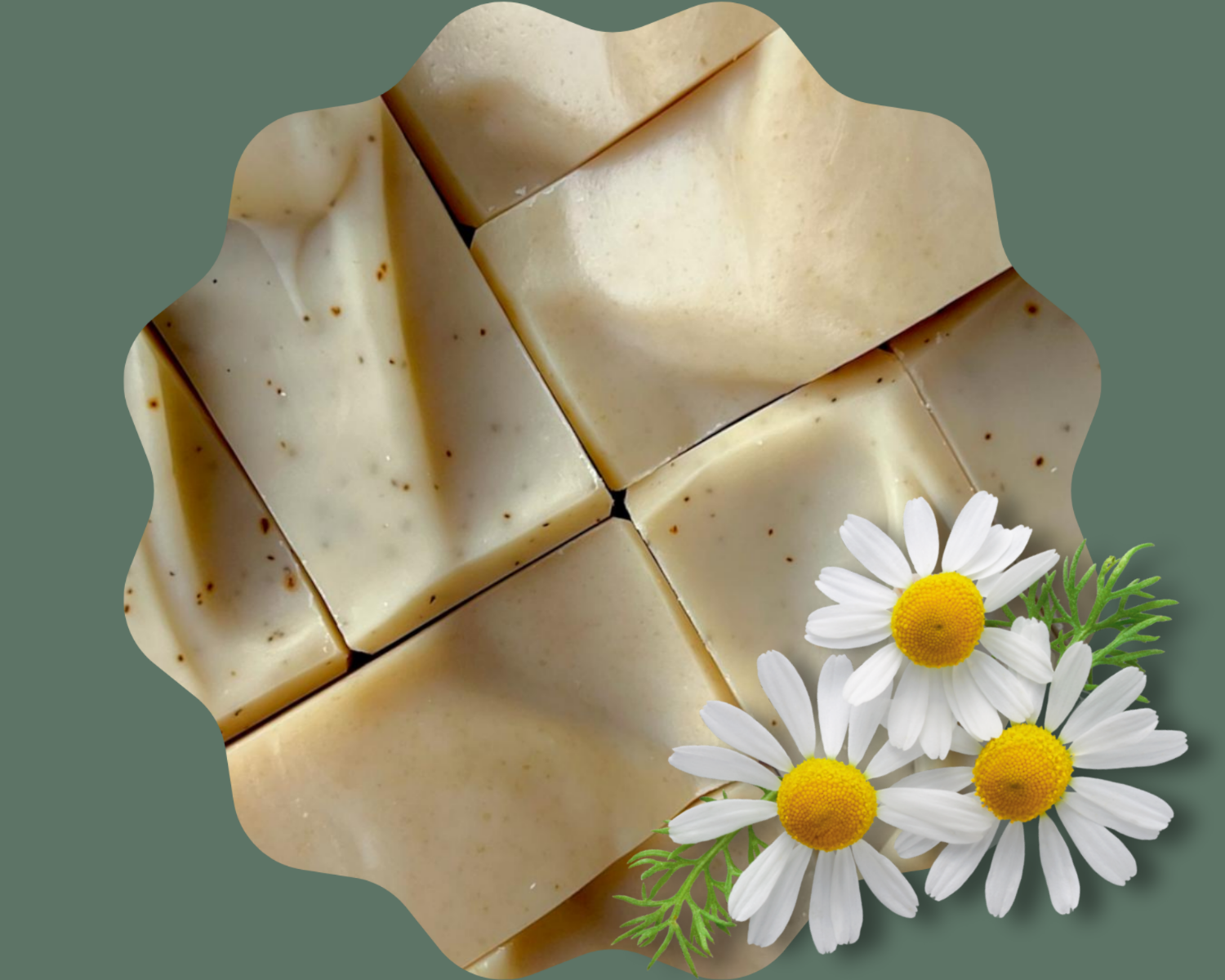 Soap bars with chamomile flowers on a green background