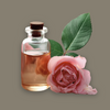 Glass bottle of perfume with a pink rose and green leaves on a gray background