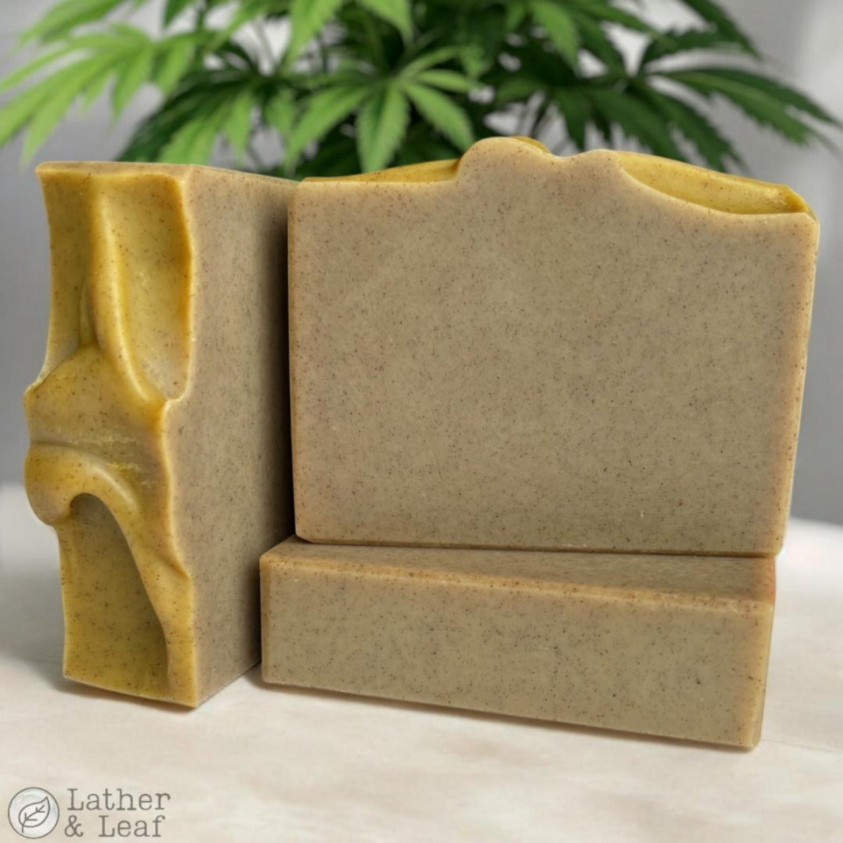 Bars of handcrafted soap with a creamy green-beige color, displayed in a natural light setting with a plant in the background.